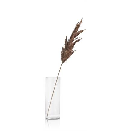 Coco Maison Pampas Grass Spray H115cm Bruin